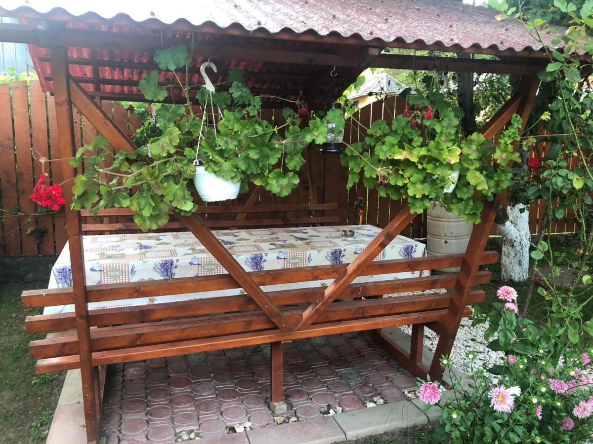 Casa Todea Otel Cîmpeni Dış mekan fotoğraf