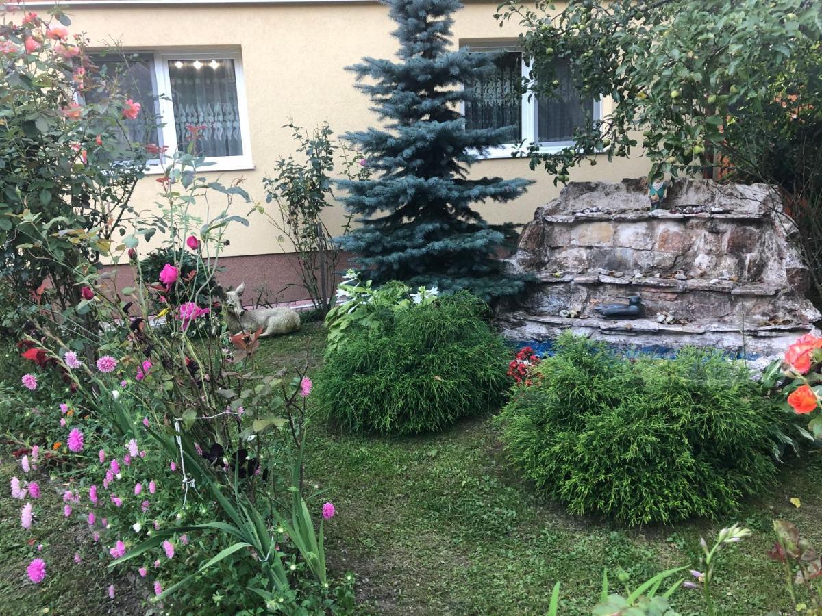 Casa Todea Otel Cîmpeni Dış mekan fotoğraf